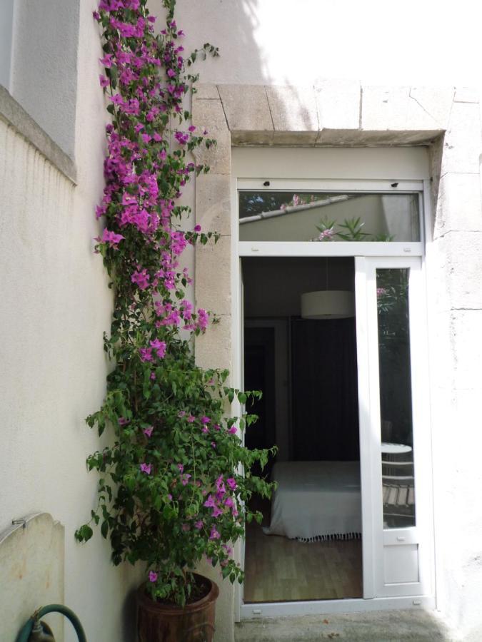 Appartement Avignon Centre Intra Muros Cour Exterieure Parking Prive Gratuit エクステリア 写真